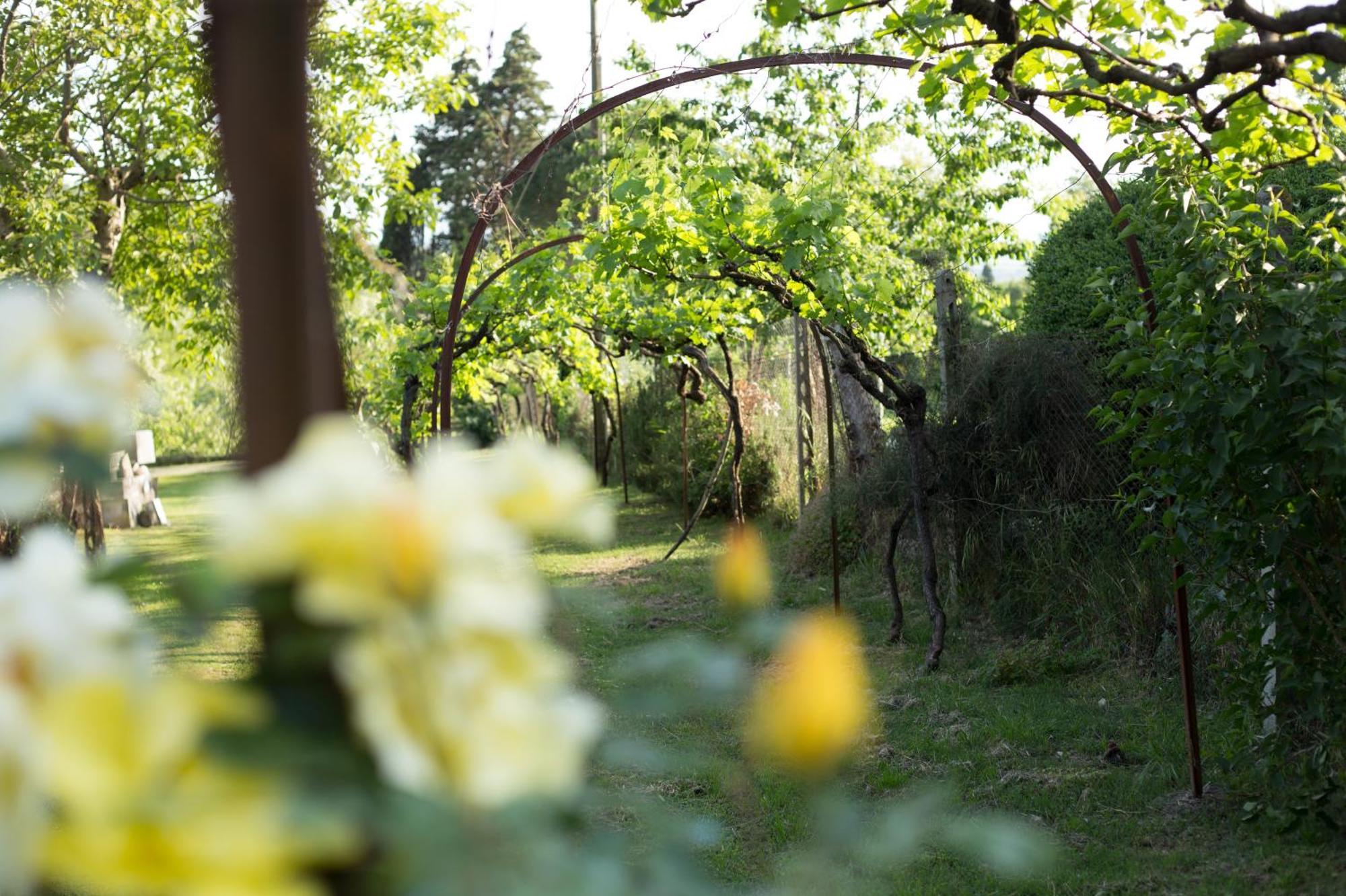 Villa Campo Di Fiore Arezzo Eksteriør bilde